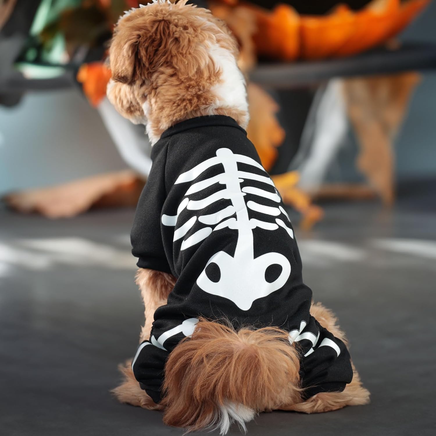 Small Dog Costume Glow in The Dark Ghost,Pet Clothes Skeleton Jumpsuit, Black and White, for Small Medium Dogs (Black, X-Large) image 4