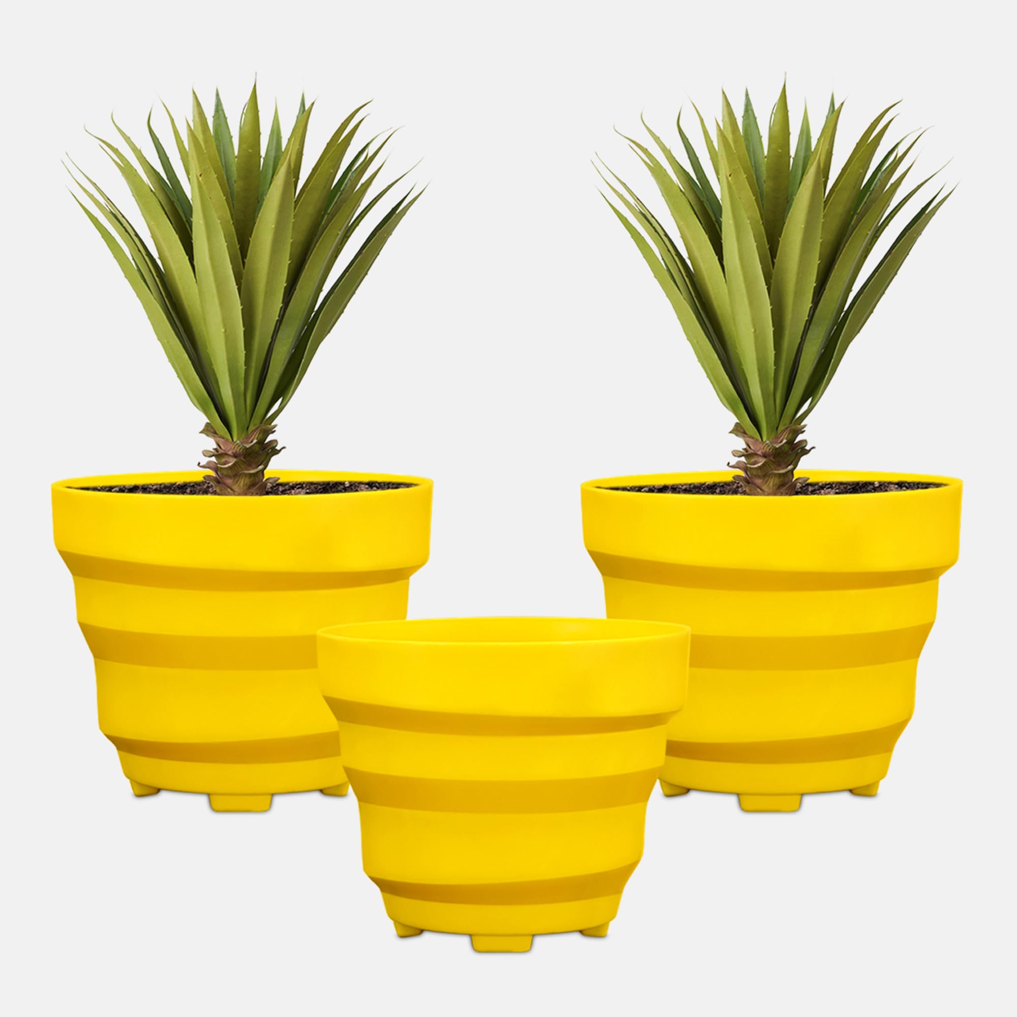 YUCCABE ITALIA SHERA Ring 8 INCH Round Plastic Flower Pot Pack of 3 Pcs pots for Plants Plastic gamley for Home Garden Seedling Indoor and Outdoor (Yellow) (B09LS1ZQ63) Amazon Price History, Amazon Price Tracker