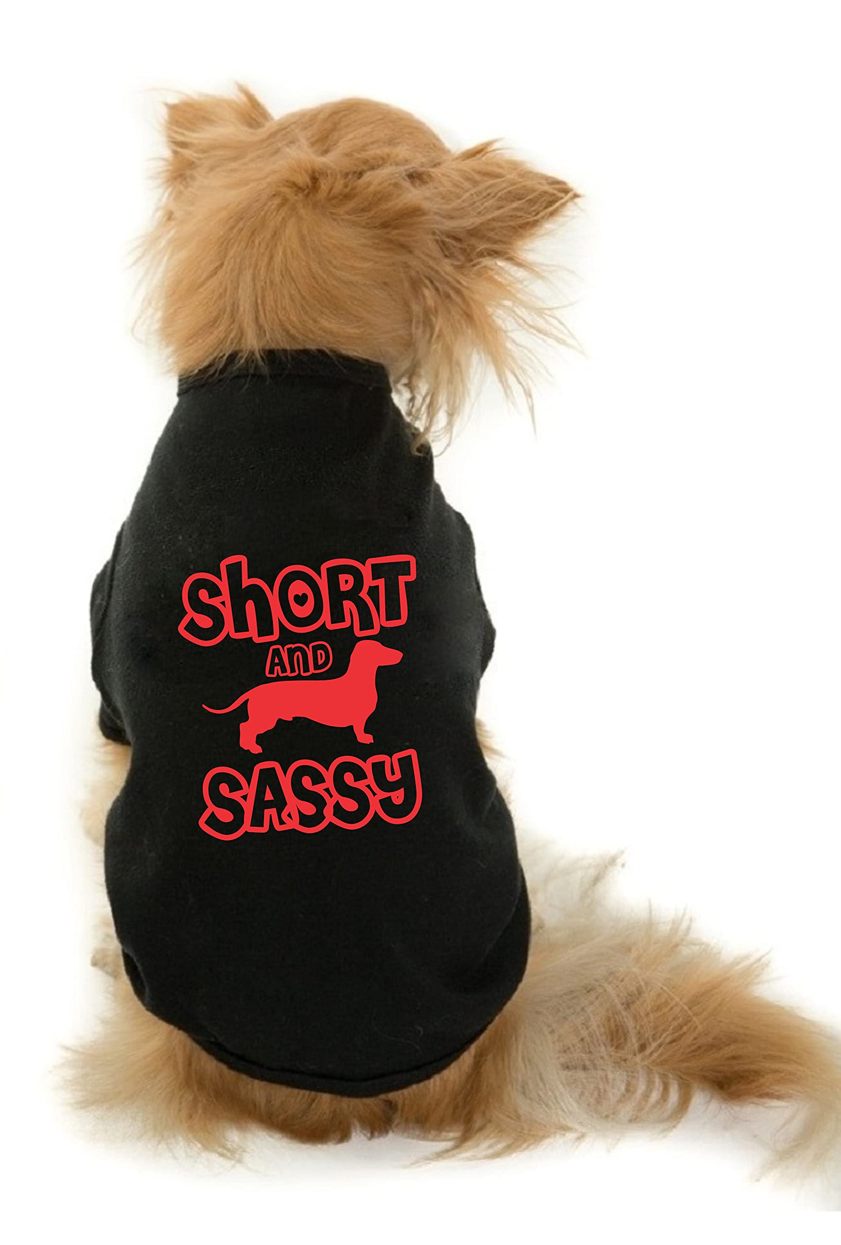 The Tee Shop Pet Clothing Collection Cool Funny Quote Printed Short and Sassy on Pet Dog Cat Comfortable T-Shirt (XL, Black) (B097C2K9YW) Amazon Price History, Amazon Price Tracker