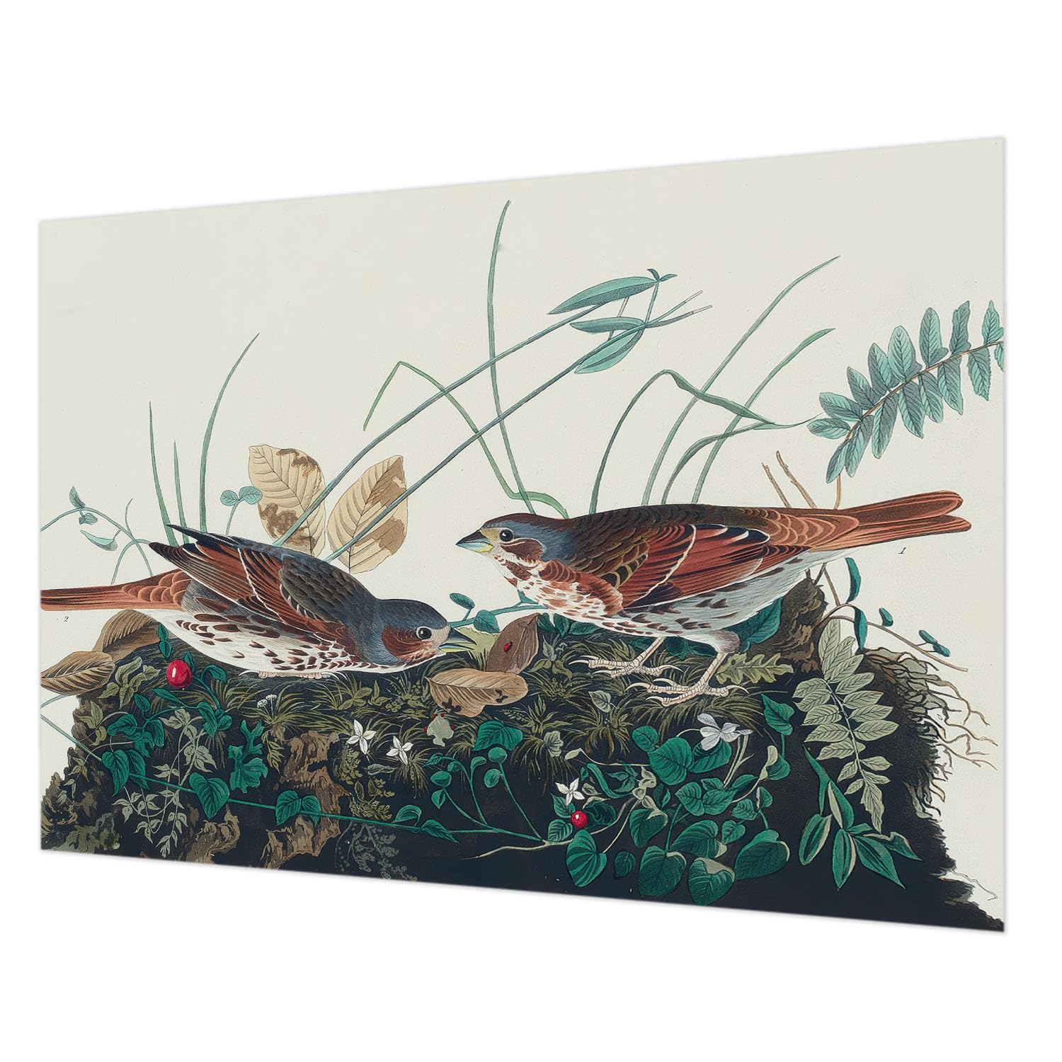 Papier peint salon 208x146 cm Tulup décoration murale nature chambre