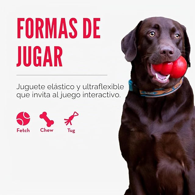 Foto 4 de 7 de KONG Folleto para Perros Reflex