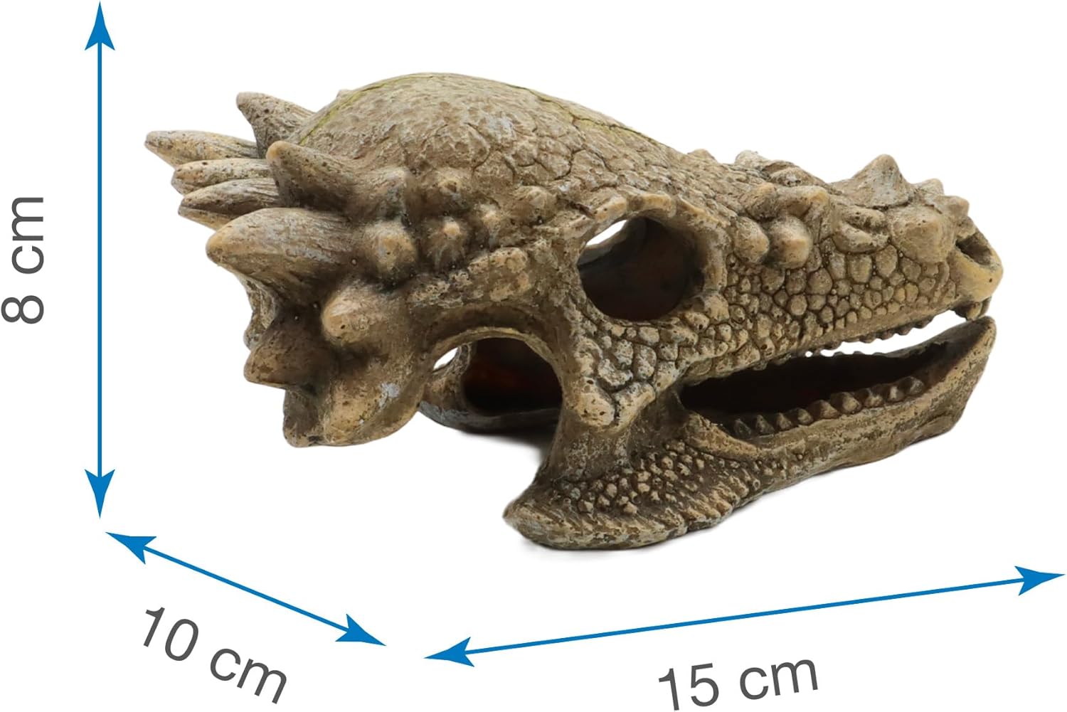 Amtra Wave Dragon Skull B