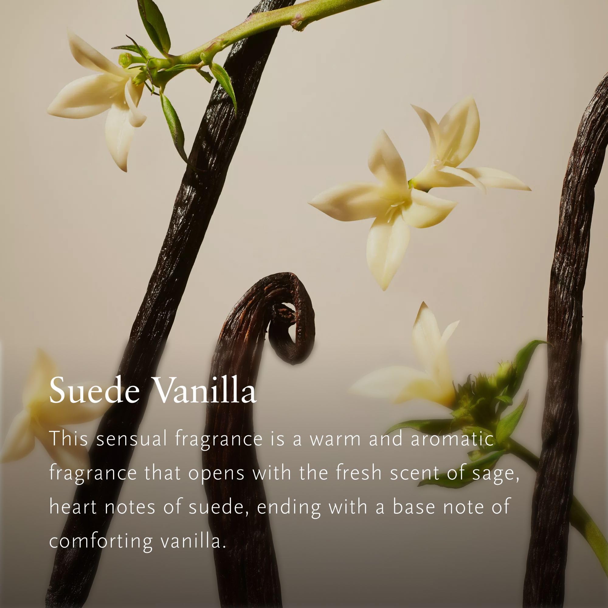 RITUALS Set de regalo Suede Vanilla Large – productos de lujo para el hogar de la Private Collection – Caja de regalo de aromaterapia con perfume para el hogar, una vela perfumada y varillas aromática