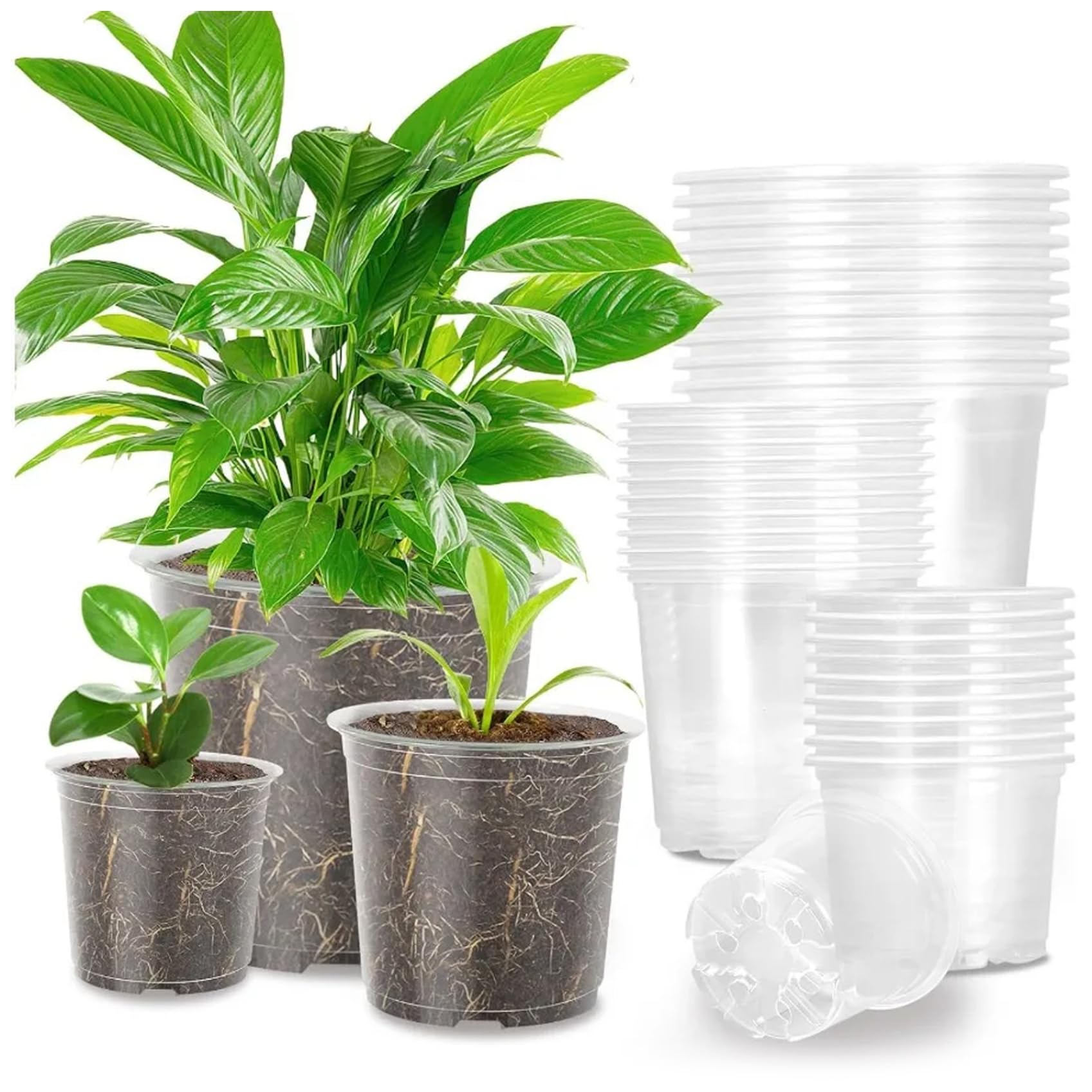 BeVistoso 30 Pack Clear Nursery Pots with Drainage Holes for Indoor Outdoor Plants, 4-5-6 Inch, Reusable Seed Starter Pots