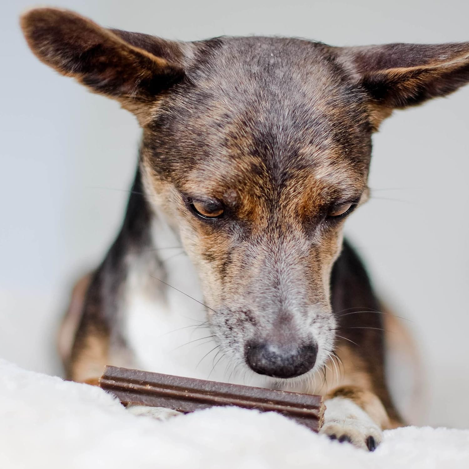 Bellfor Cuidado dental natural para perros – Varillas de cuidado dental para perros – Palos para el cuidado dental contra el mal aliento, placa y sarro. Huesos sin cereales para perros – 126 unidades,