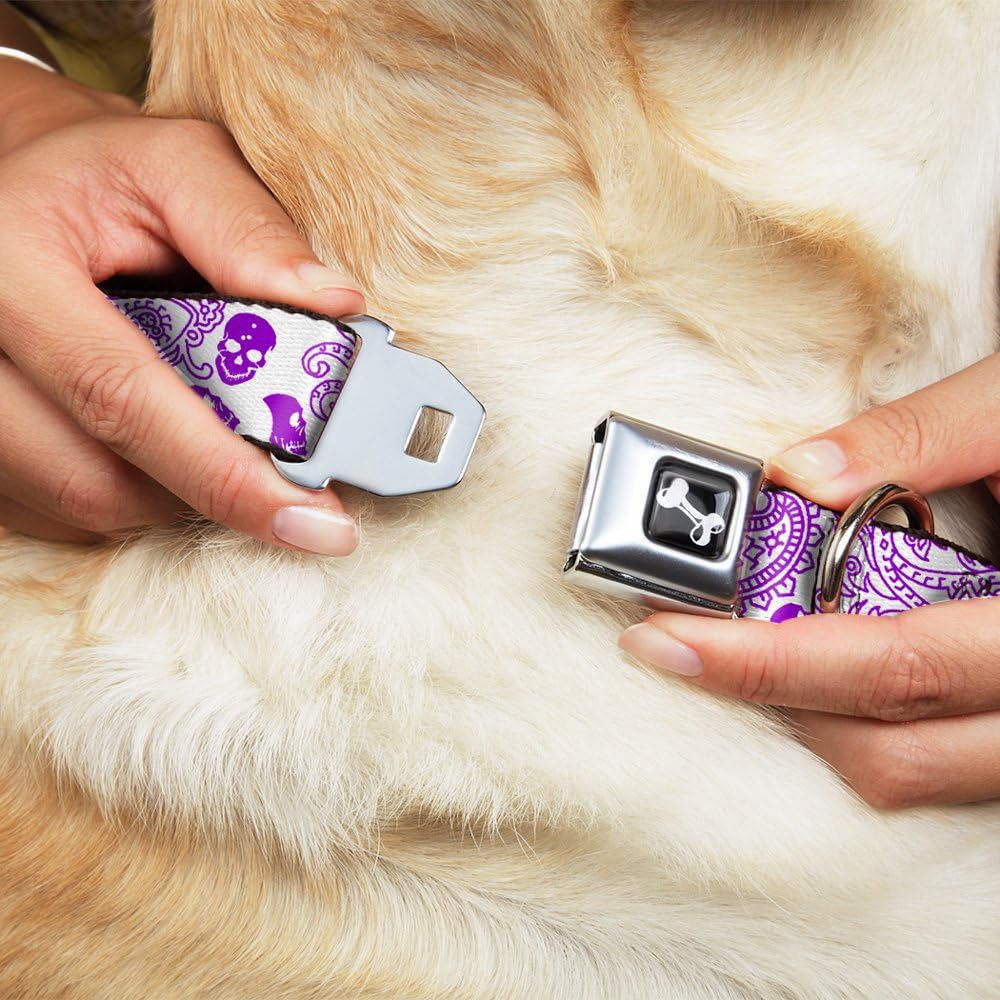 Dog Collar Seatbelt Buckle Bandana Skulls White Purple 11 to 17 Inches 1.0 Inch Wide