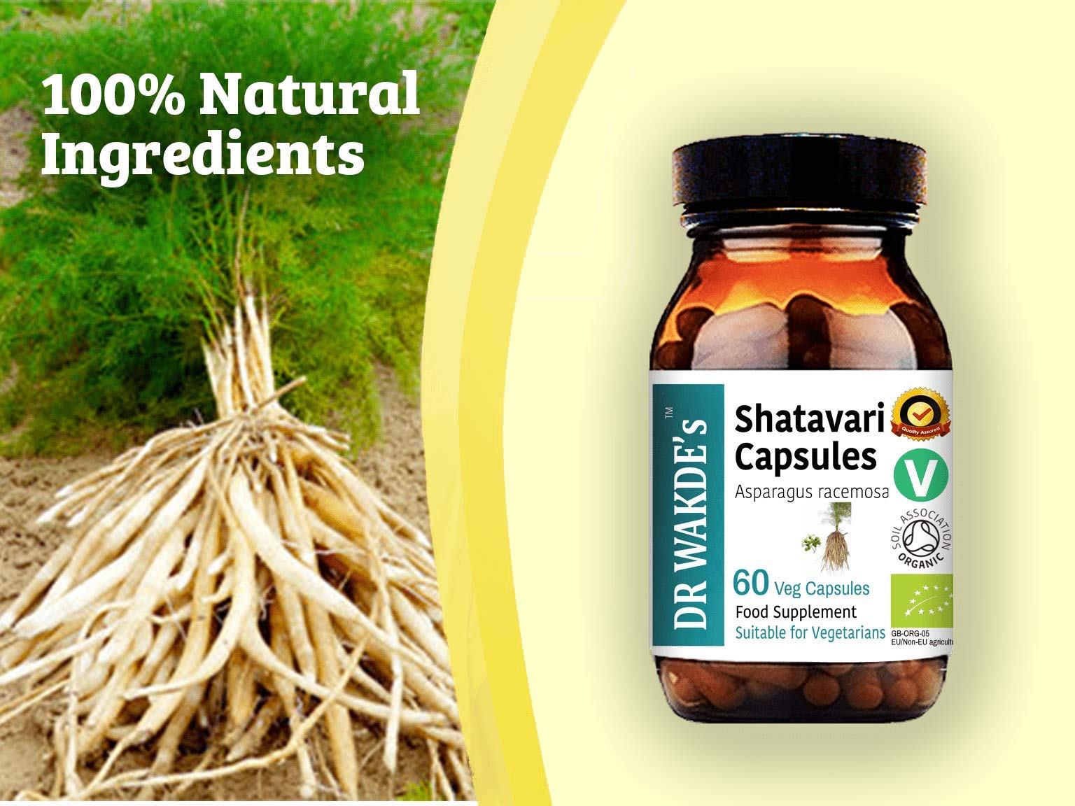 DR WAKDE'S Shatavari Kapseln (Asparagus racemosa, 60 Veg Caps, Ayurveda-Ergänzung, Vegan, Kräuter, Natürlich)