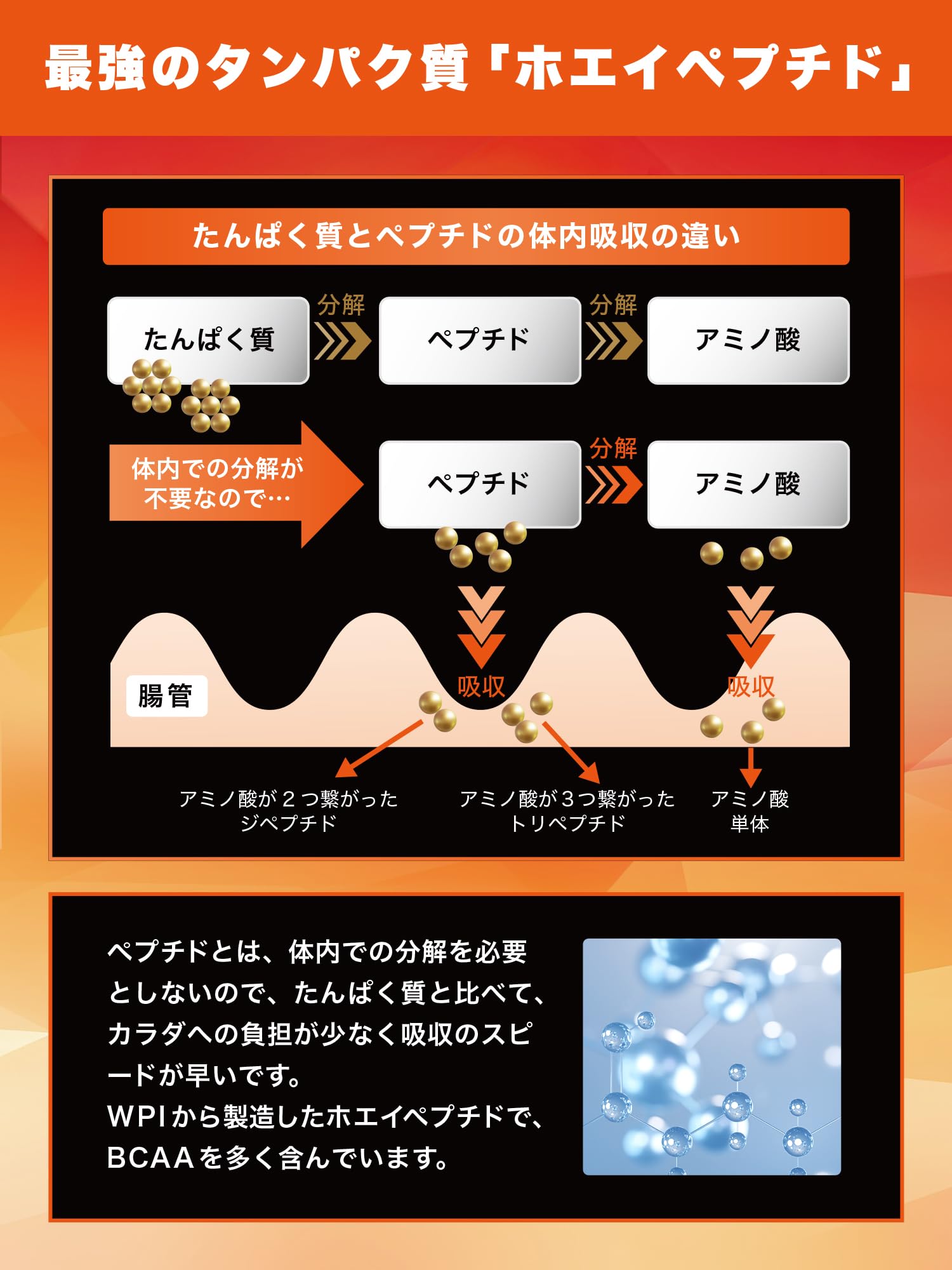 Amazon | リミテスト ホエイペプチド ペプチド 工場直販
