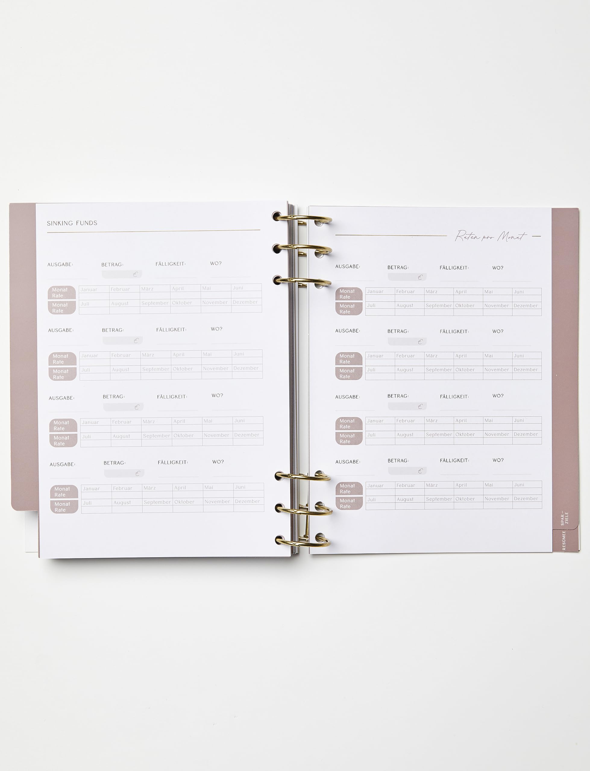 Moneyglow® Mein Budgetplaner A5 deutsch I 310 Seiten I goldene Ringe zum Öffnen I Seiten immer wieder austauschbar I Register I Illustrationen I satiniertes Schreibpapier I undatiert