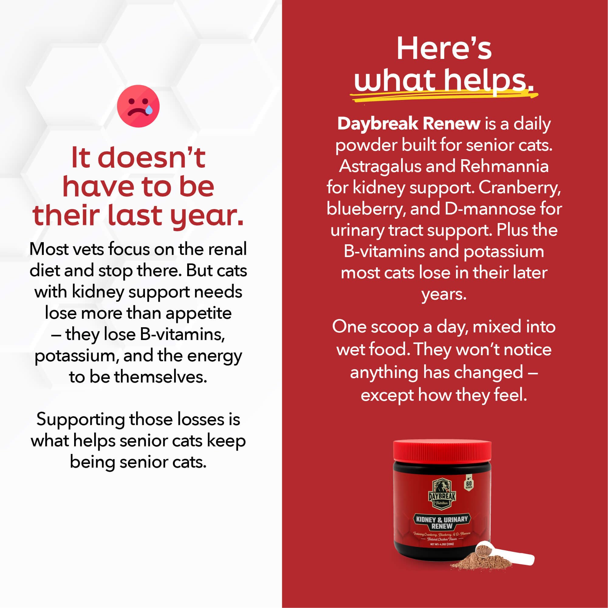 Daybreak Nutrition Kidney & Urinary Support for Cats (60 Serving) — Amazon image 3