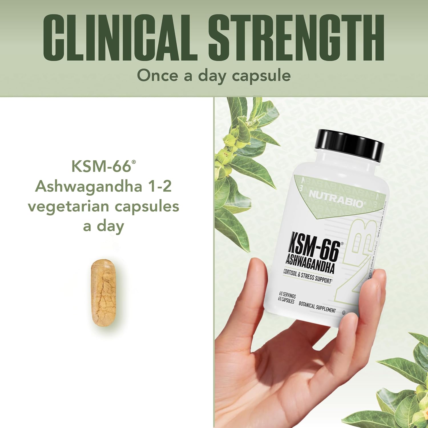 NutraBio Ashwagandha KSM-66 | Ashwagandha Herbal Supplement for Stress, Mood, & Performance | 600 MG of Clinically Studied KSM66 60 Capsules - Image 5