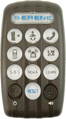 Receptor personal vibratorio inalámbrico CentralAlert