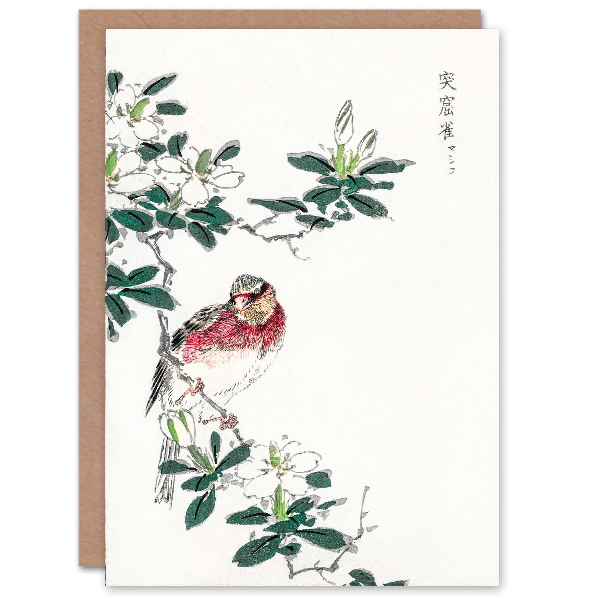 Artery8 Numata Kashu Art Card Long Tailed Rosefinch Japanese