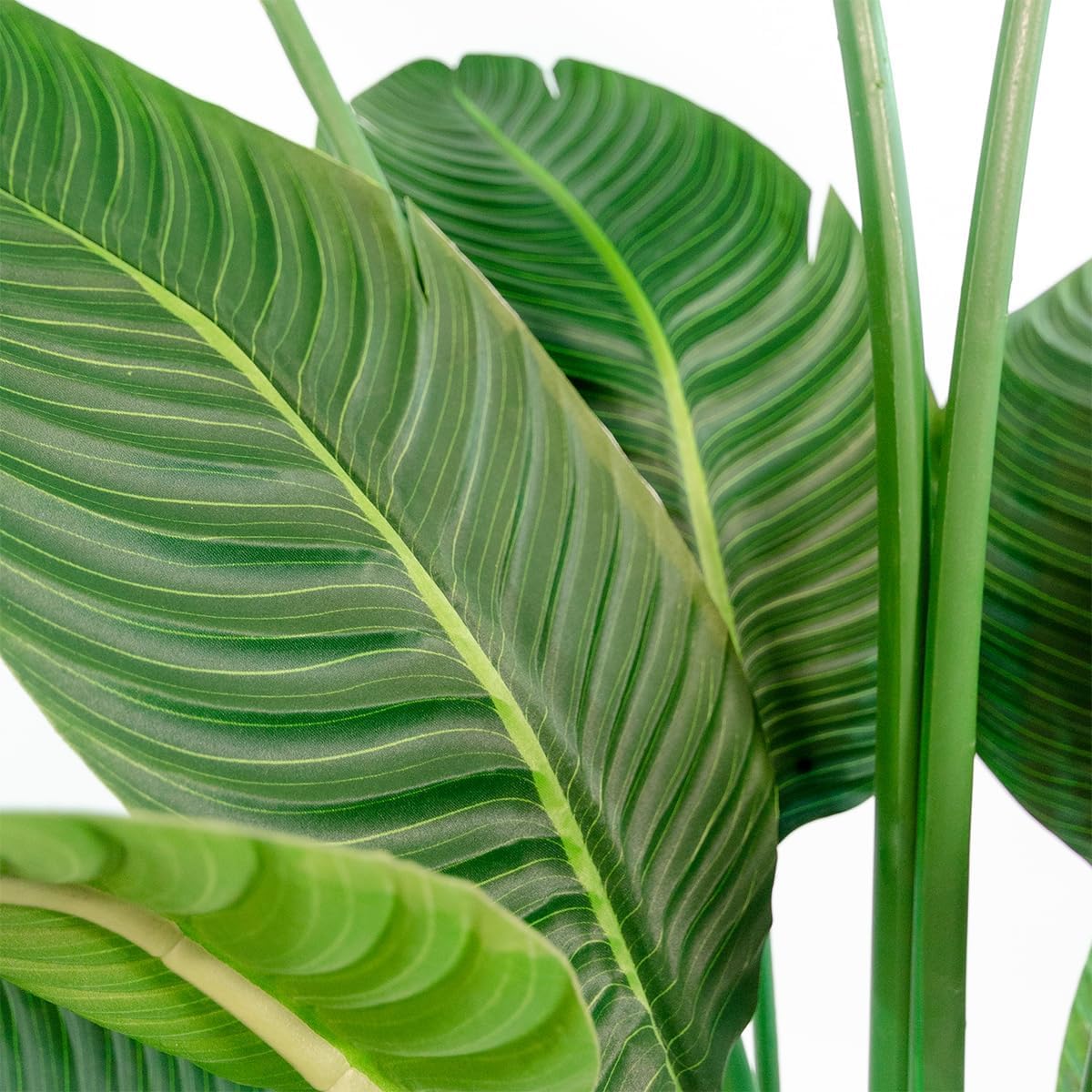 BLAINE Strelitzia 160cm Grande Plante Artificielle Réaliste pour Intérieur Extérieur