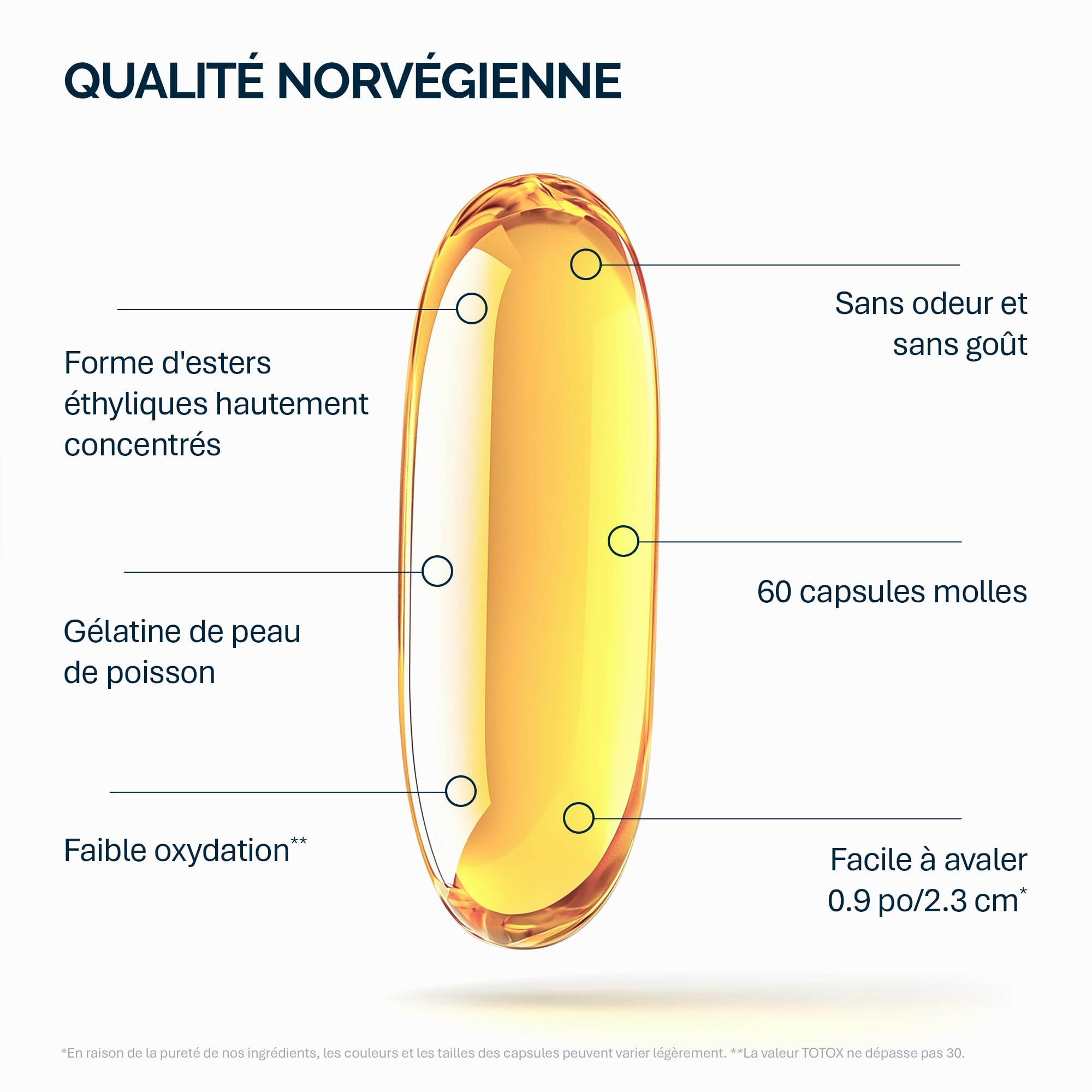 NFO Omega 3 Forte [360 capsules] Family Pack Huile de poisson norvégienne à haute concentration d'EPA:DHA Formule avec complexe naturel de vitamine E pour adultes et enfants + 3 ans Fabriqué en
