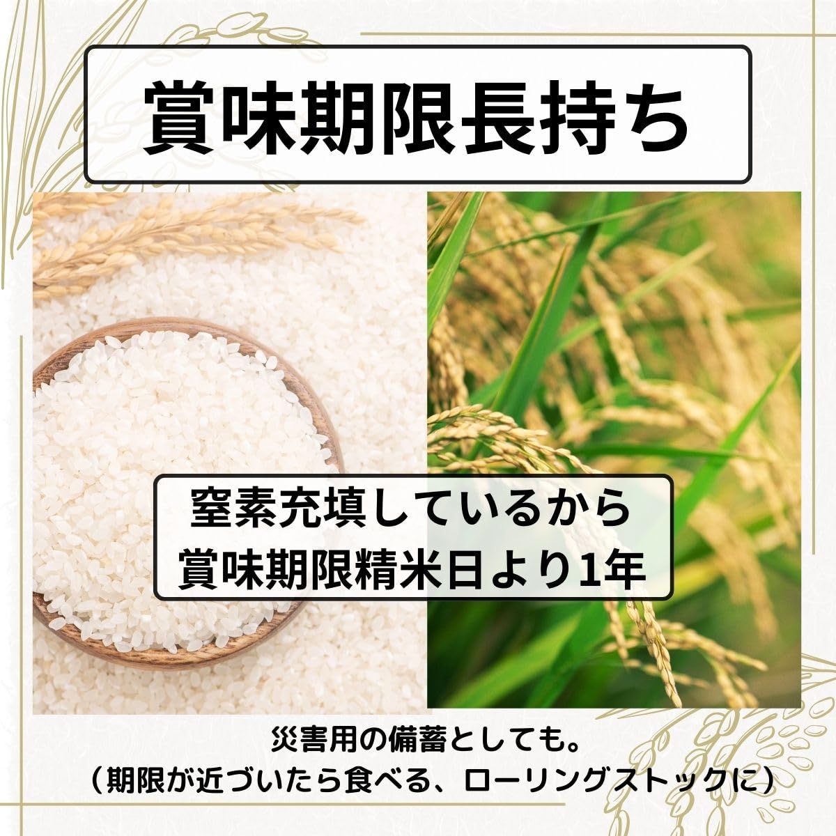 Amazon.co.jp: 無洗米 米 詰め合わせ 一合 食べ比べ 1合 コシヒカリ