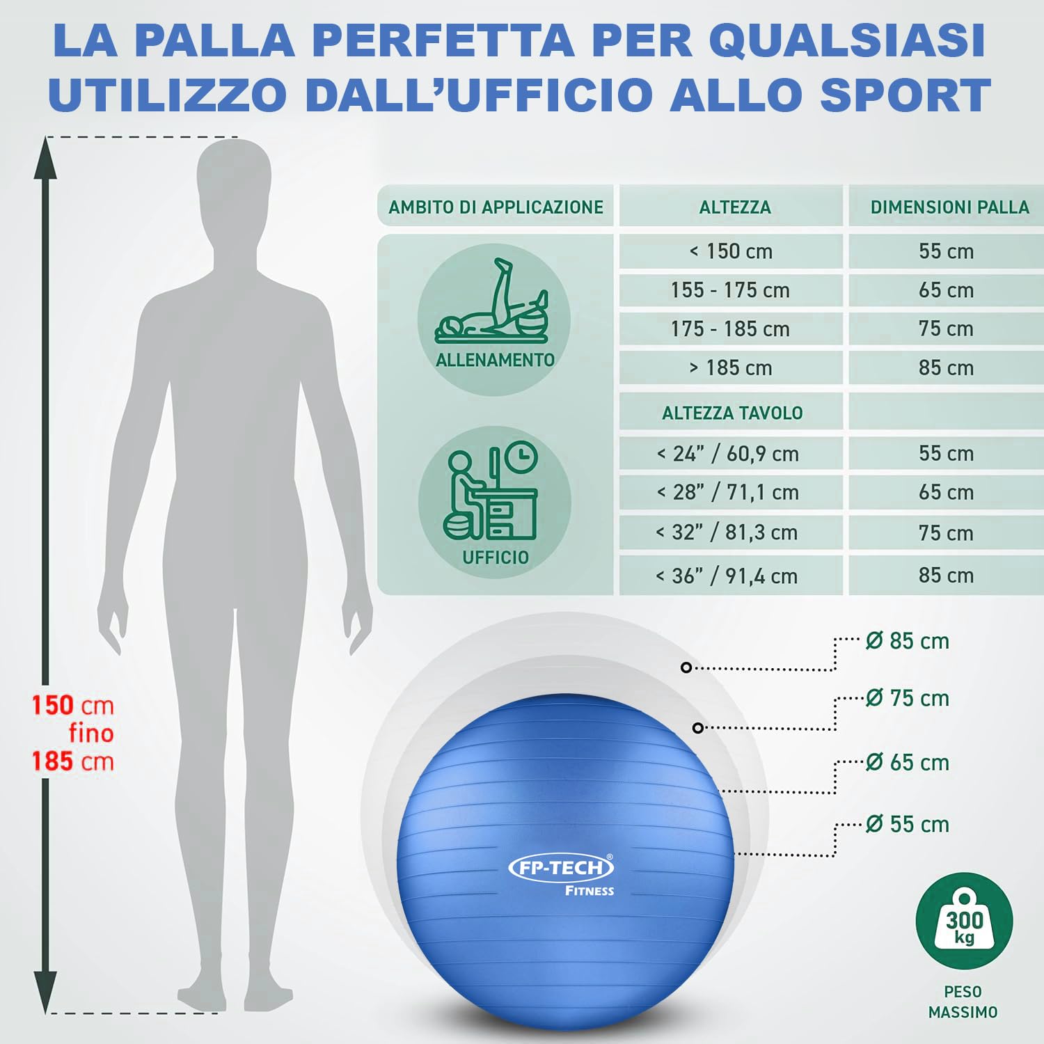 FP-TECH - Palla da Fitness, Palla Pilates Yoga Anti-Scoppio 55cm/65cm/75cm/85cm Palla da Ginnastica con Pompa Rapida inclusa per Fitness Yoga Pilates e Ufficio 6 Colori