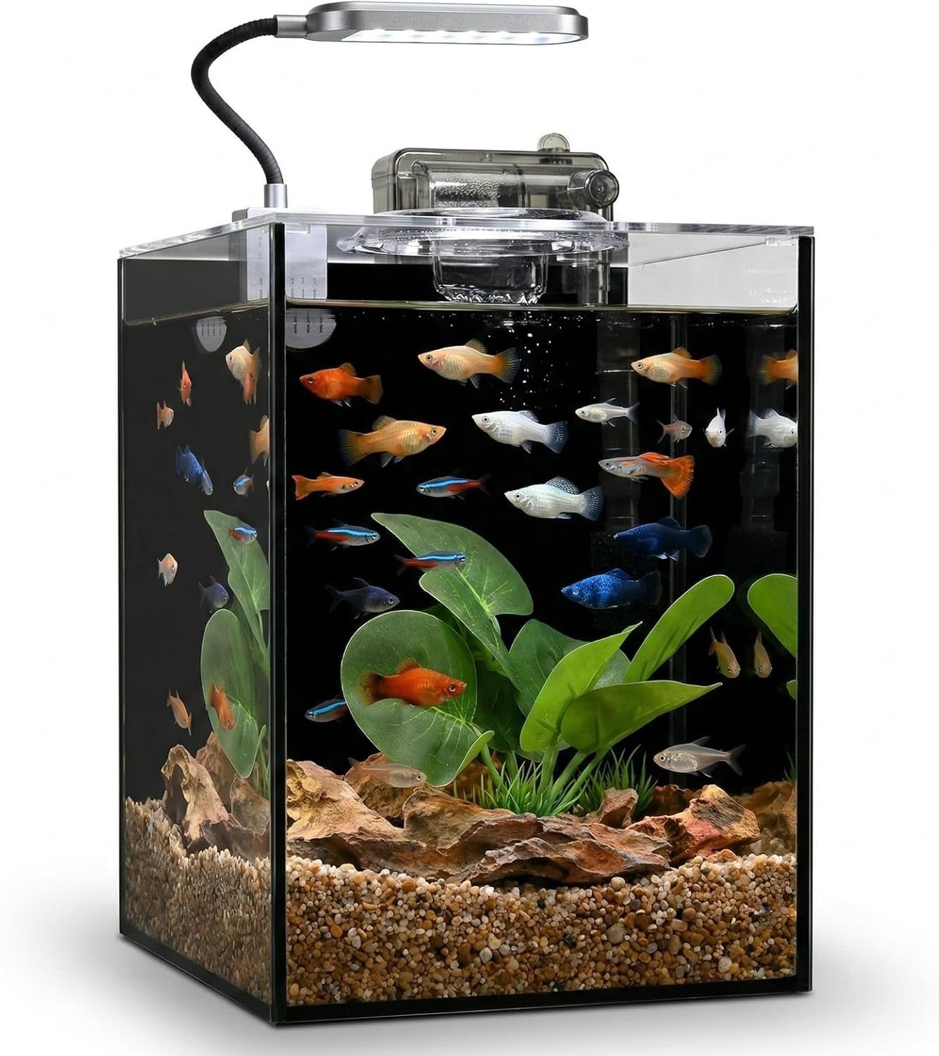Small Aquarium Set Glass Fish Tank (Black Glass Background, 2.2 Gallon)