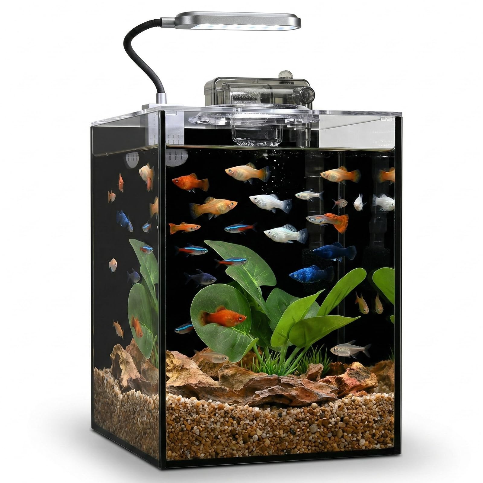 Juego de acuario pequeño de cristal para pecera (fondo de vidrio negro, 2.2 galones)