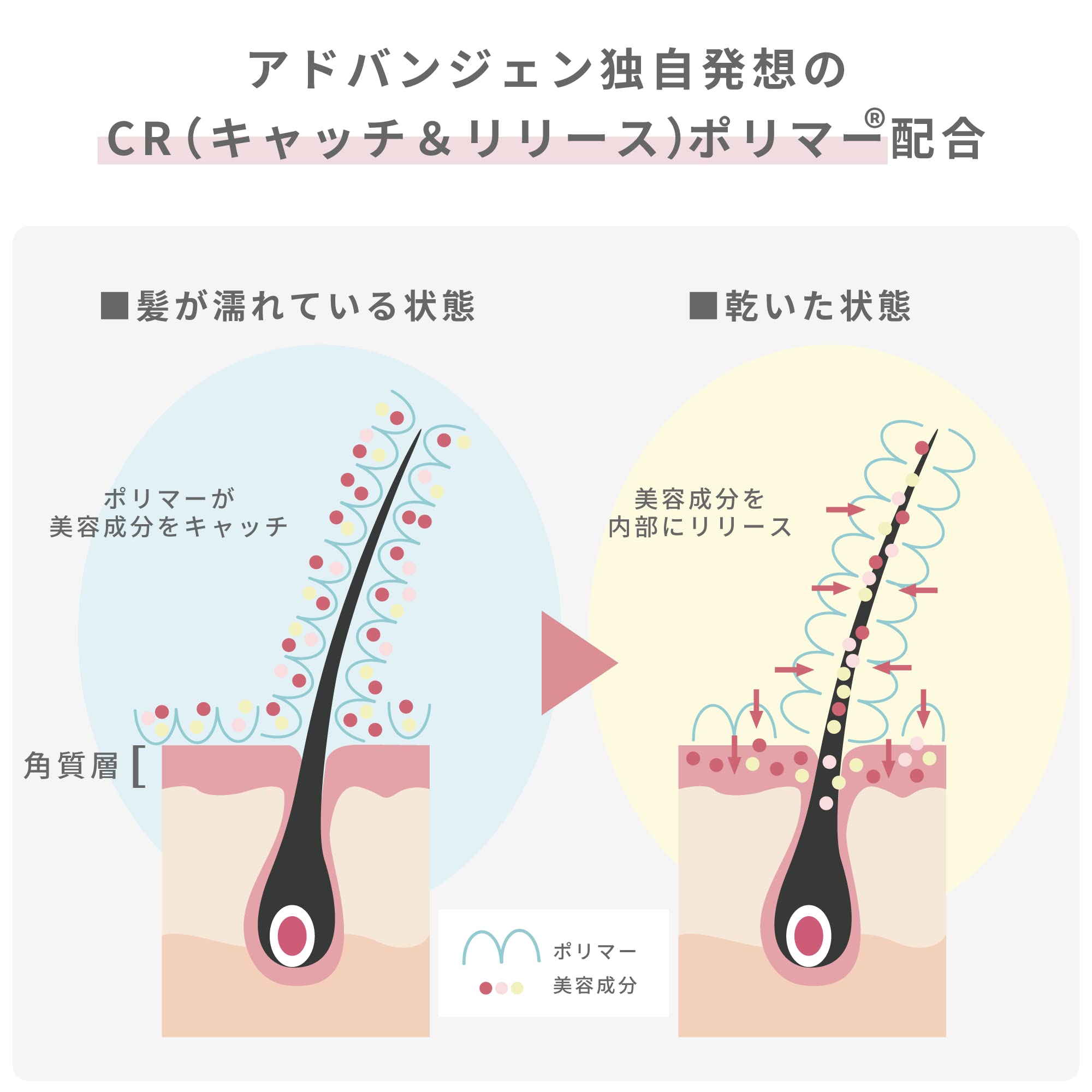 Amazon | Jo-Ju RED (ジョジュレッド) スカルプシャンプー 300ml (薬用