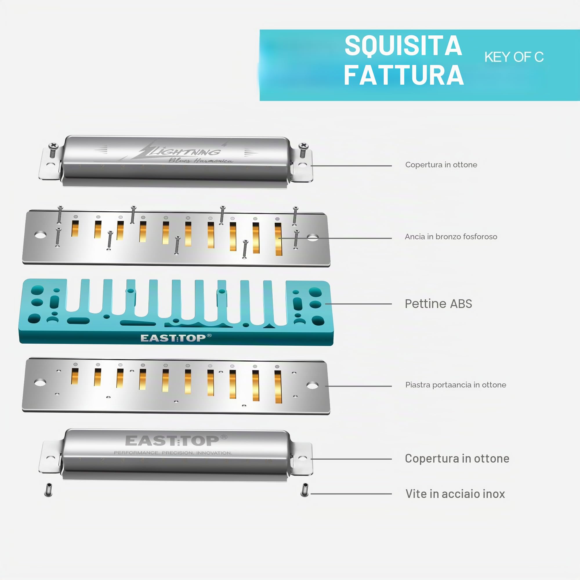 East Top Armonica diatonica avanzata in chiave di do, 10 fori, per blues arpa, organo a bocca con copertura argentata