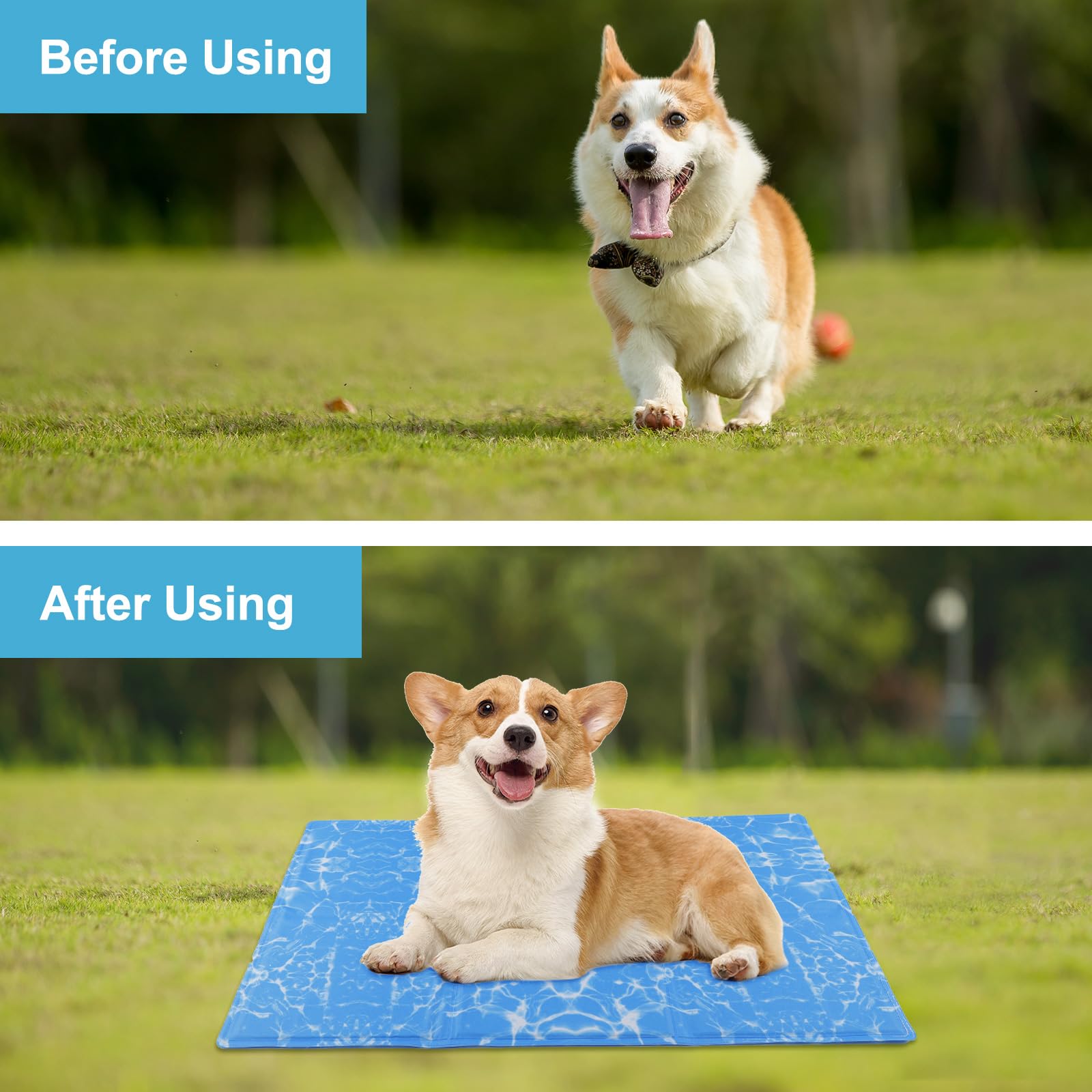 DEWEL Tappetino Refrigerante Cani e Gatti, Materassino Cane 50 x 90 cm, Adatto per Animali Domestici di Peso Inferiore a 25 kg, Raffreddamento Estivo del Lettino per Cani, Blu