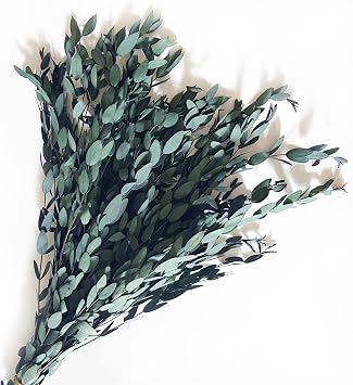 Preserved Dried Eucalyptus Greenery Stems, 20+ Pcs 16 inches Natural Long Lasting Eucalyptus Bundles for Vase Arrangements Home Decoration Photo Props Parties and Weddings, DIY Decor-Blue