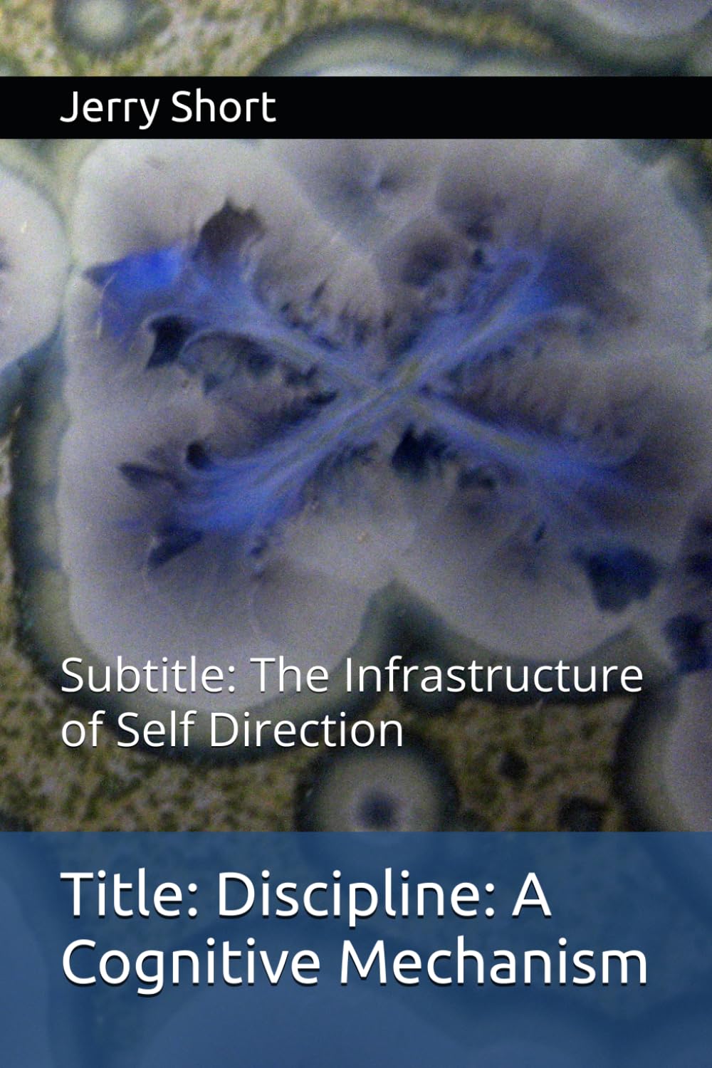 Discipline: A Cognitive Mechanism: The Infrastructure of Self Direction (The MGCA Multiverse Series)