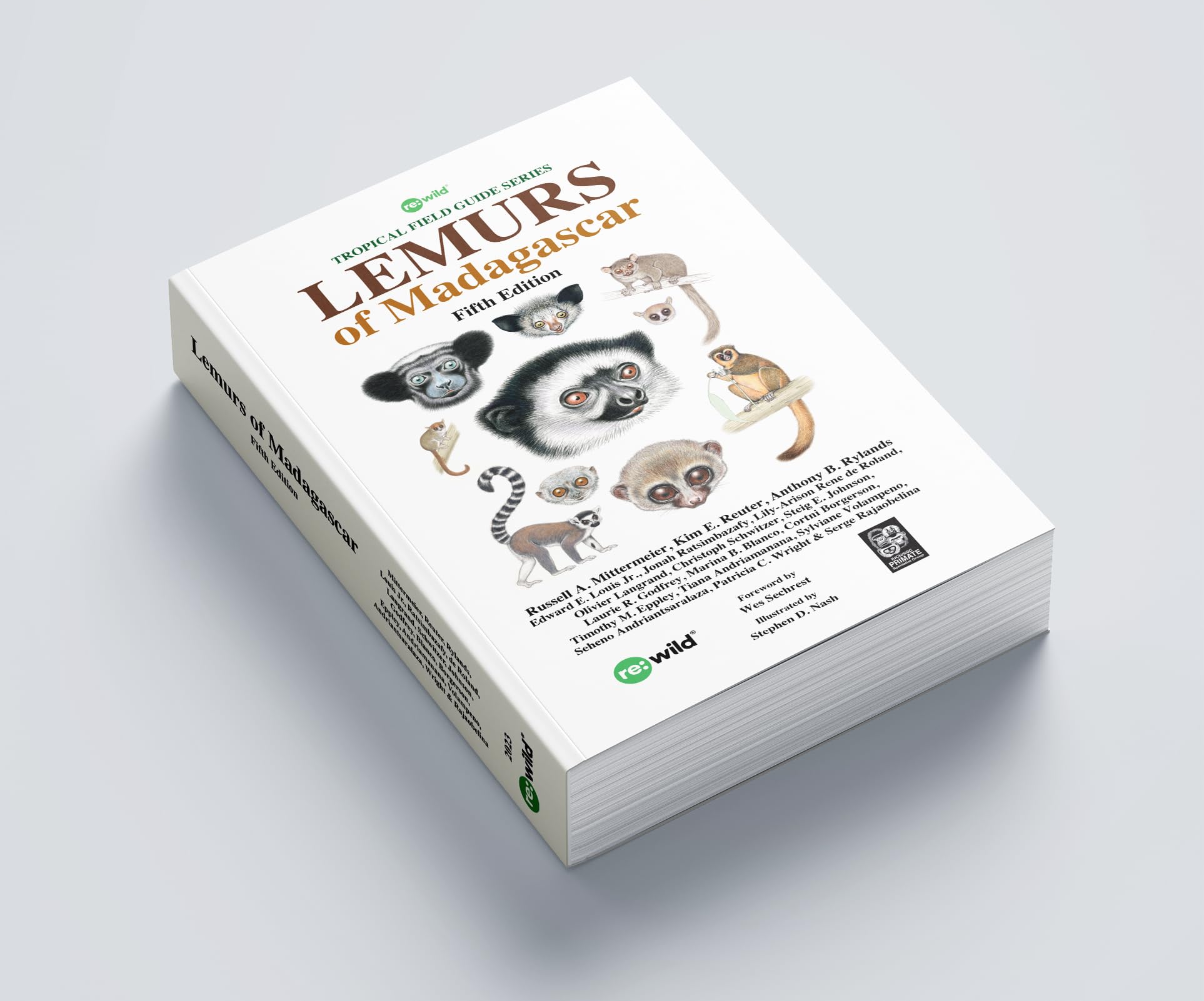 Lemurs of Madagascar