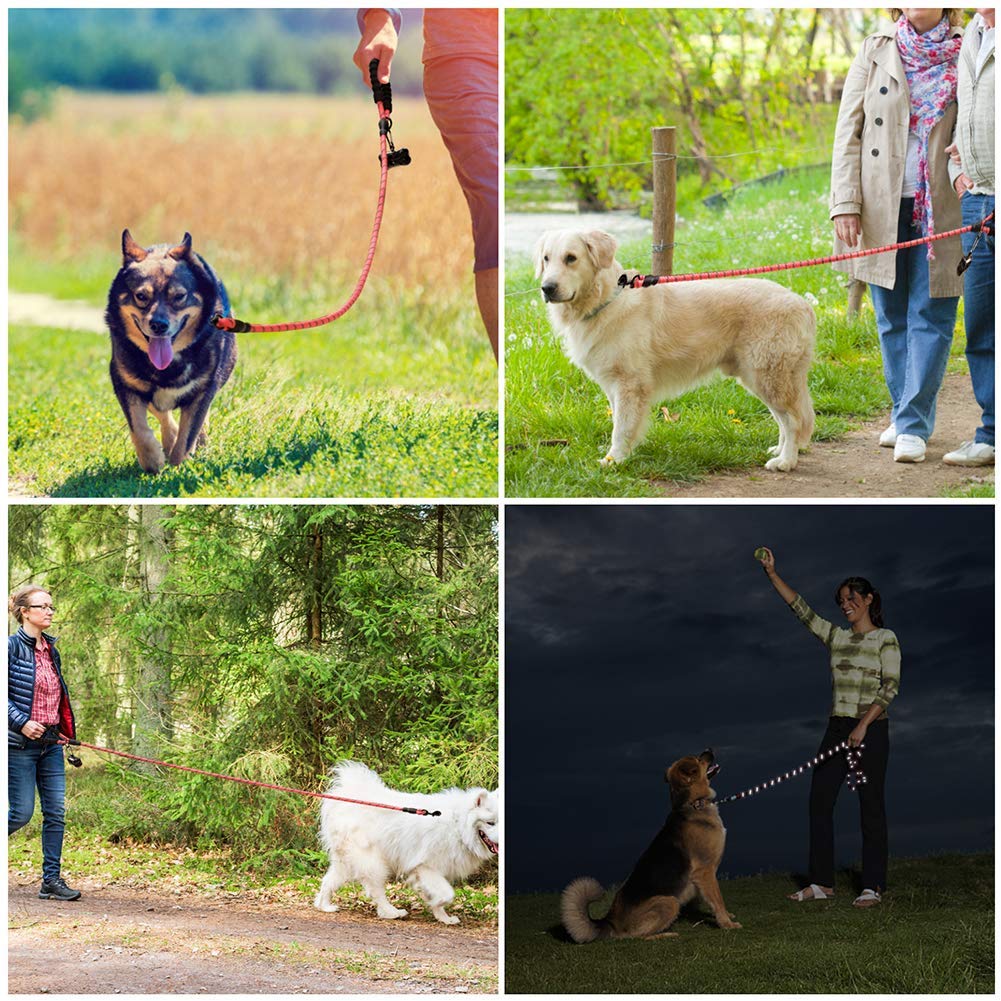 Laisse de Dressage Longue Laisse pour Chien Laisse Longue pour Chien Laisse de Course pour Chiens Laisse de Course pour Chiens Laisse de Course pour Chiens Ligne de Longe Mains Libres pour Chevaux