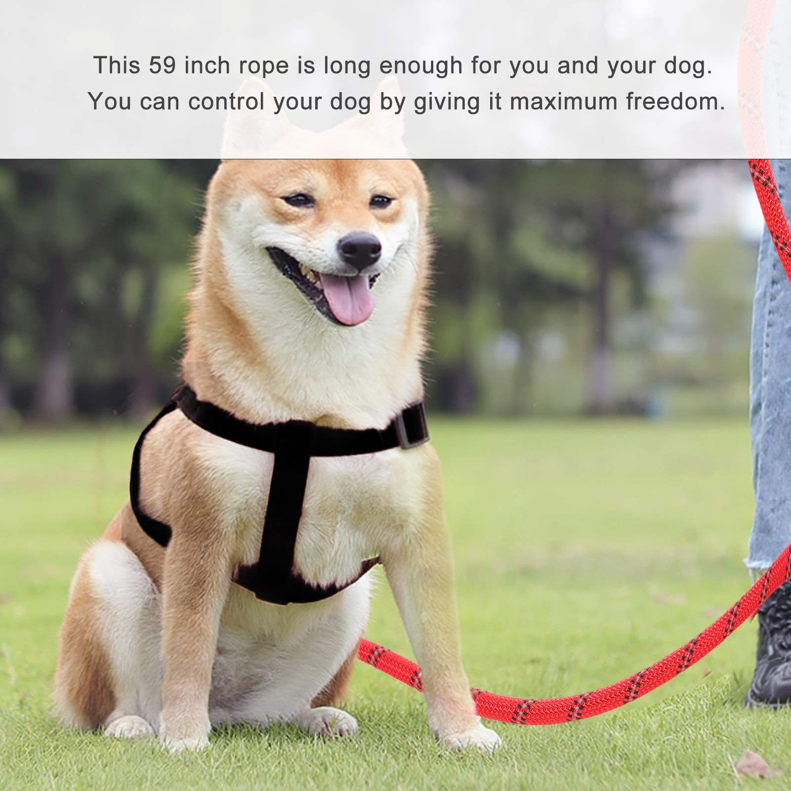 Reflective Rope Dog Leash 150cm-Gray | The Warehouse Reflective Dog Leash Dog Rope with Padded Handle 150cm for Small M