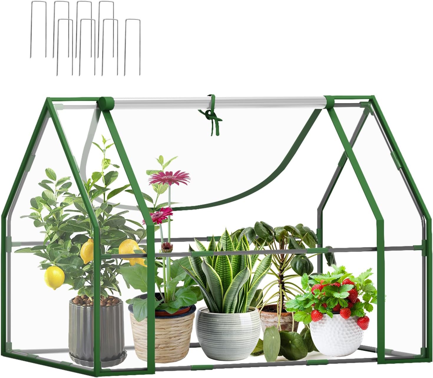Wironlst Mini Greenhouse for Outdoors Indoor, Small Greenhouse with Innovative Dual Open Doors, Portable Garden Tent for Plants Protection (Transparent, 36"(L) x18(W) x33(H))