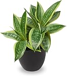 Artificial Snake Plant Potted Faux Sansevieria Trifasciata Plants, 17" Tropical Fake Plants in White Pots for Home Office Desk Outdoor Décor Housewarming Gift