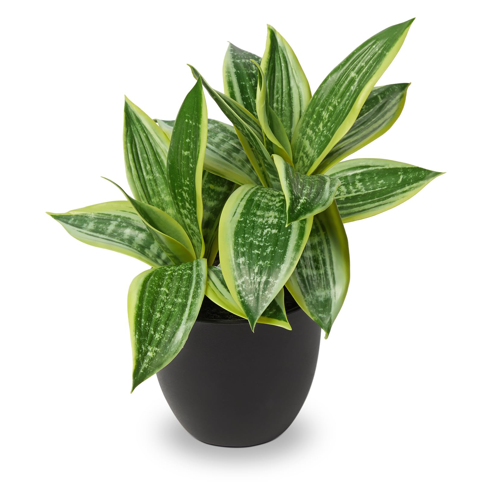 Amazon.com: DILATATA Fake Snake Plant 11 Inch Small Potted Good