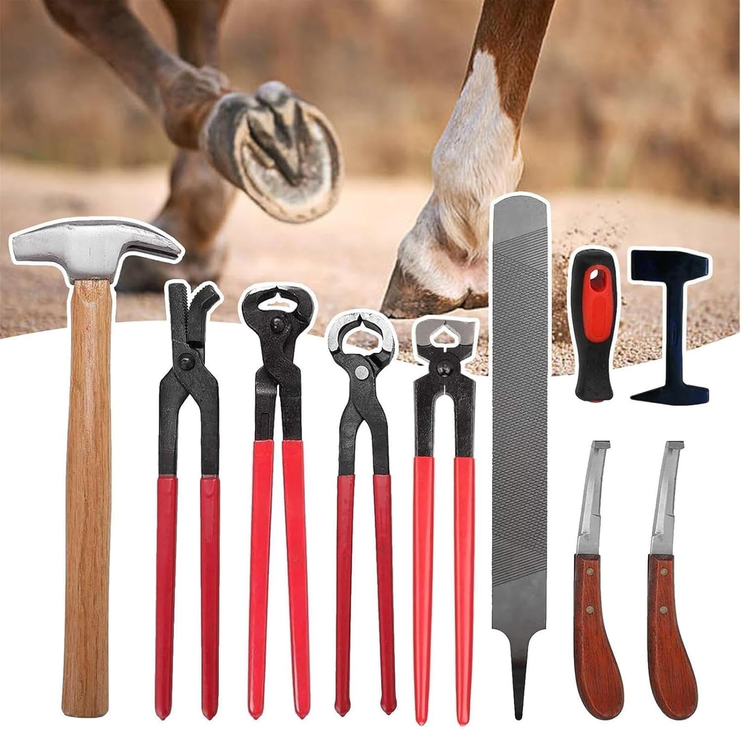 9Pcs Horse Farrier Tool Kit, Hoof Trimming Set, Includes Horse Shoe Cutting Pliers, Right Handle Hoof Knife, Hoof Hammer, Care Tools for Cattle Sheep Horses Donkeys.