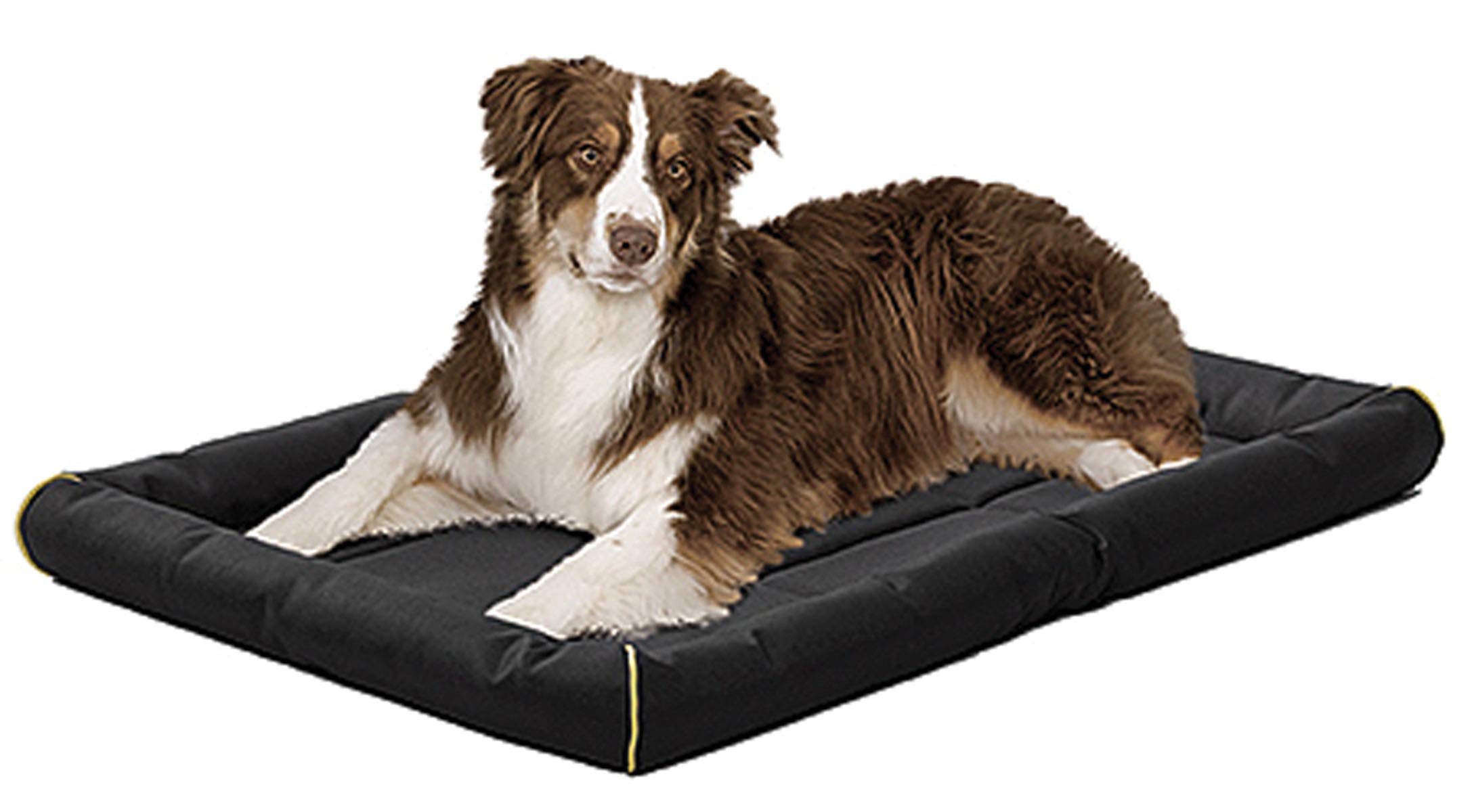 Maxx Pet Bed, Water Resistant, Black Polyester, 42-In.