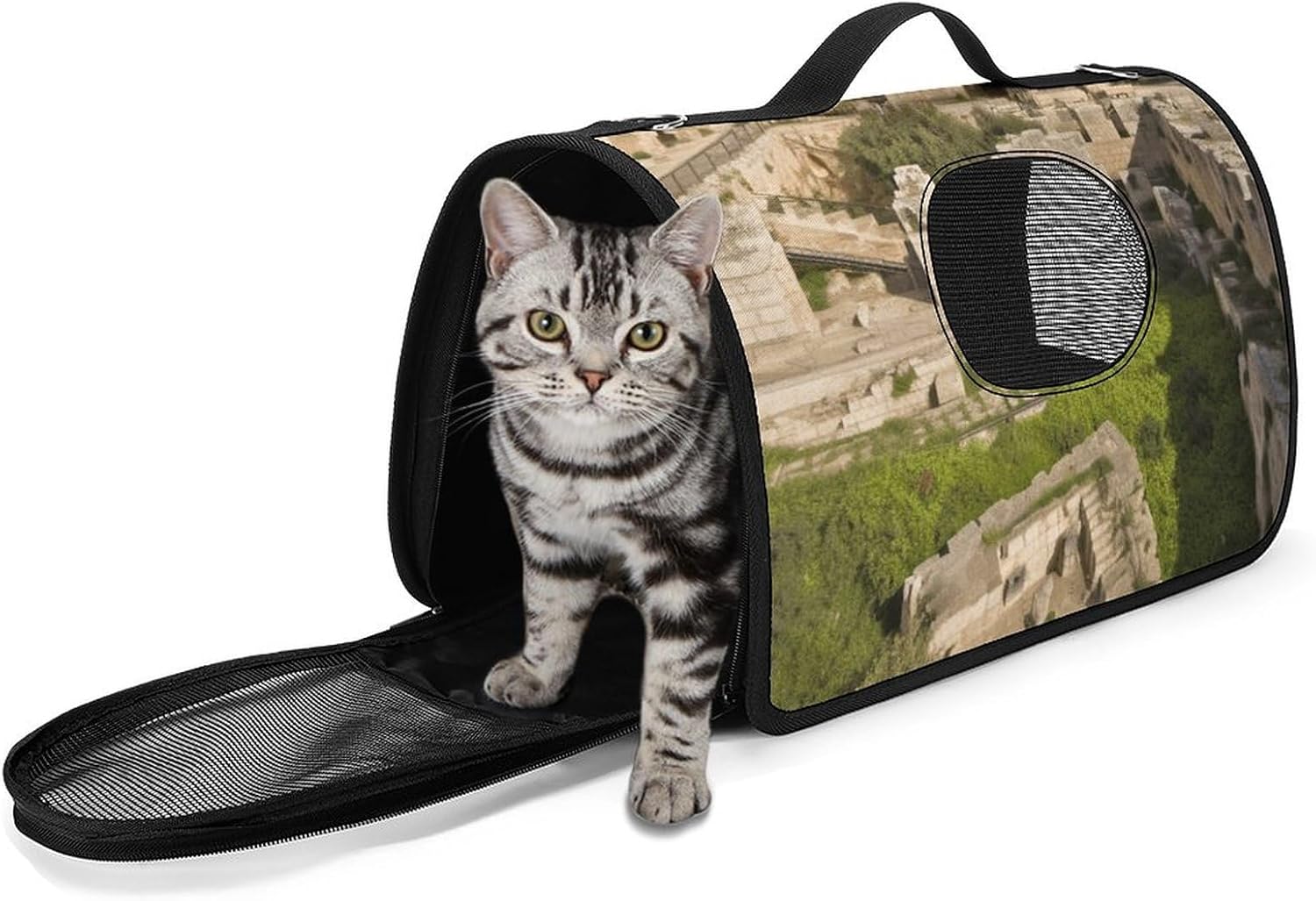 Pet Handbags, The Tower of David Printed Pet Handbags,folding Pet Bags,new Pet Handbags,universal Pet Handbags, 45X26X23.5cm
