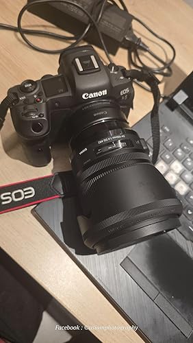 シグマ 24-105mm F4 DG OS HSM アート SAマウント