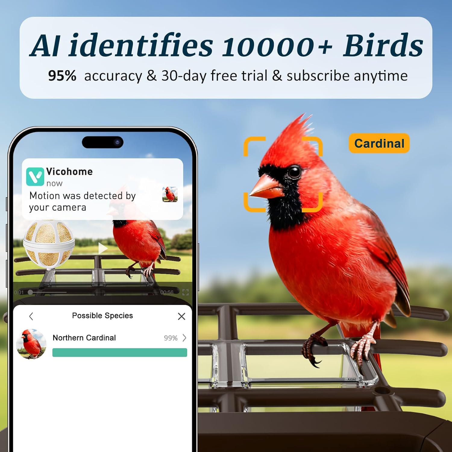 Festival Gift for Bird Lovers, Mom, Dad & Kids: Solar-Powered Smart Bird Feeder with Camera - AI Identify 10K+ Birds, 2K HD Live, WiFi Outdoor Garden Birdhouse Cam - Image 2