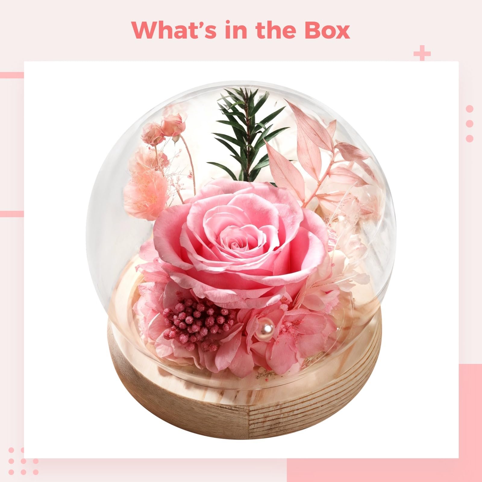 Decorazione floreale reale conservata con cupola in vetro e base in legno, rose eterne per San Valentino, Natale, compleanni e anniversari, regalo romantico, decorazione da scrivania per la casa per