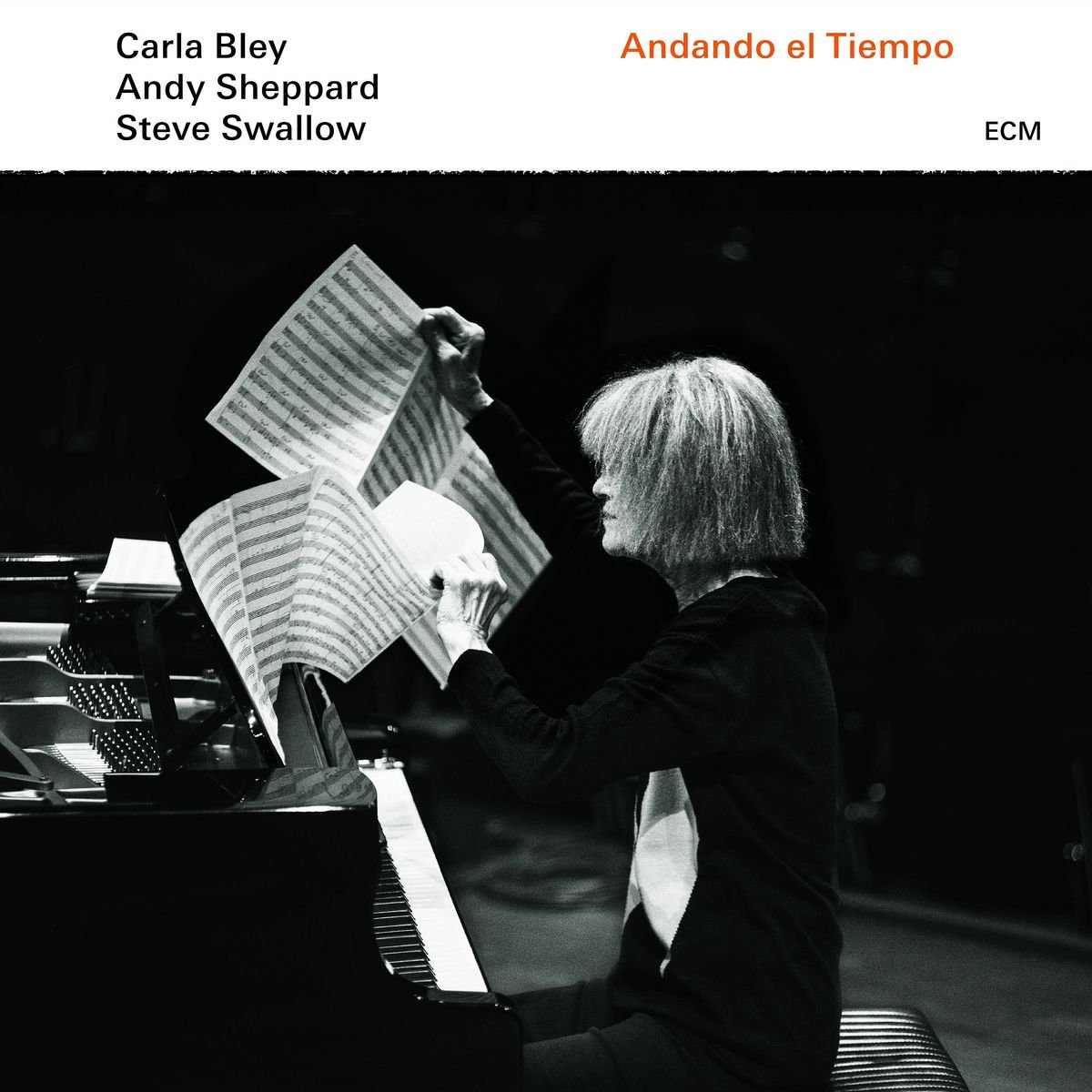 Andando El Tiempo [VINYL]