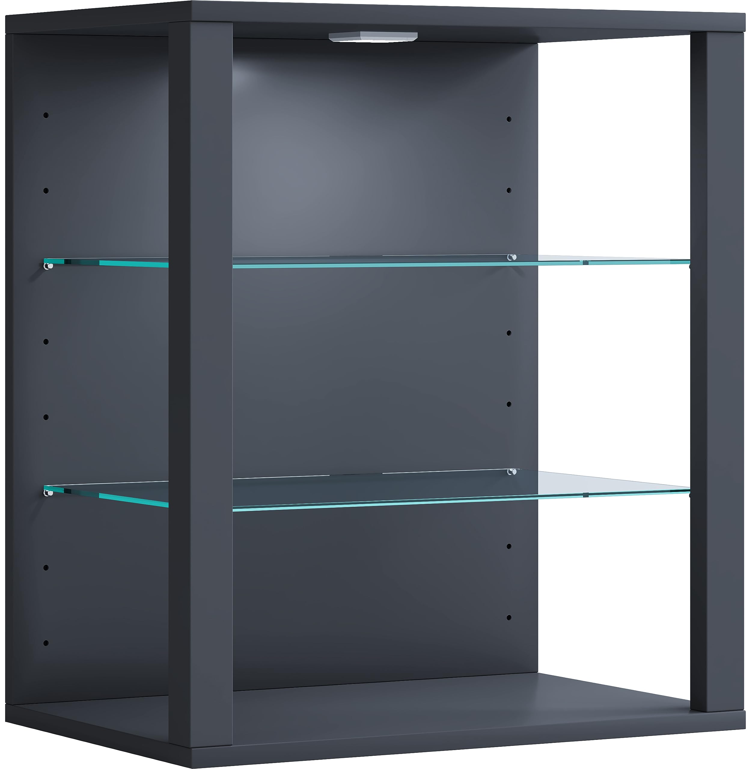 VCM Vitrina Mural de Cristal de Madera Vitrina Colgante Vitrina de Cristal Vitrina expositora Vitrina de pie Glasol S Antracita