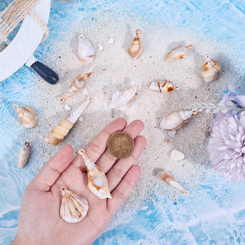 SUNNYCLUE 1 Box 56Pcs 14 Styles Small Seashell Charms Spiral Shell Beads Bulk Acrylic Summer Ocean Theme Cute Cowrie Seashells Charms for Jewellery Making Charms Diy Crafting Necklace Bracelet Earring - Image 3