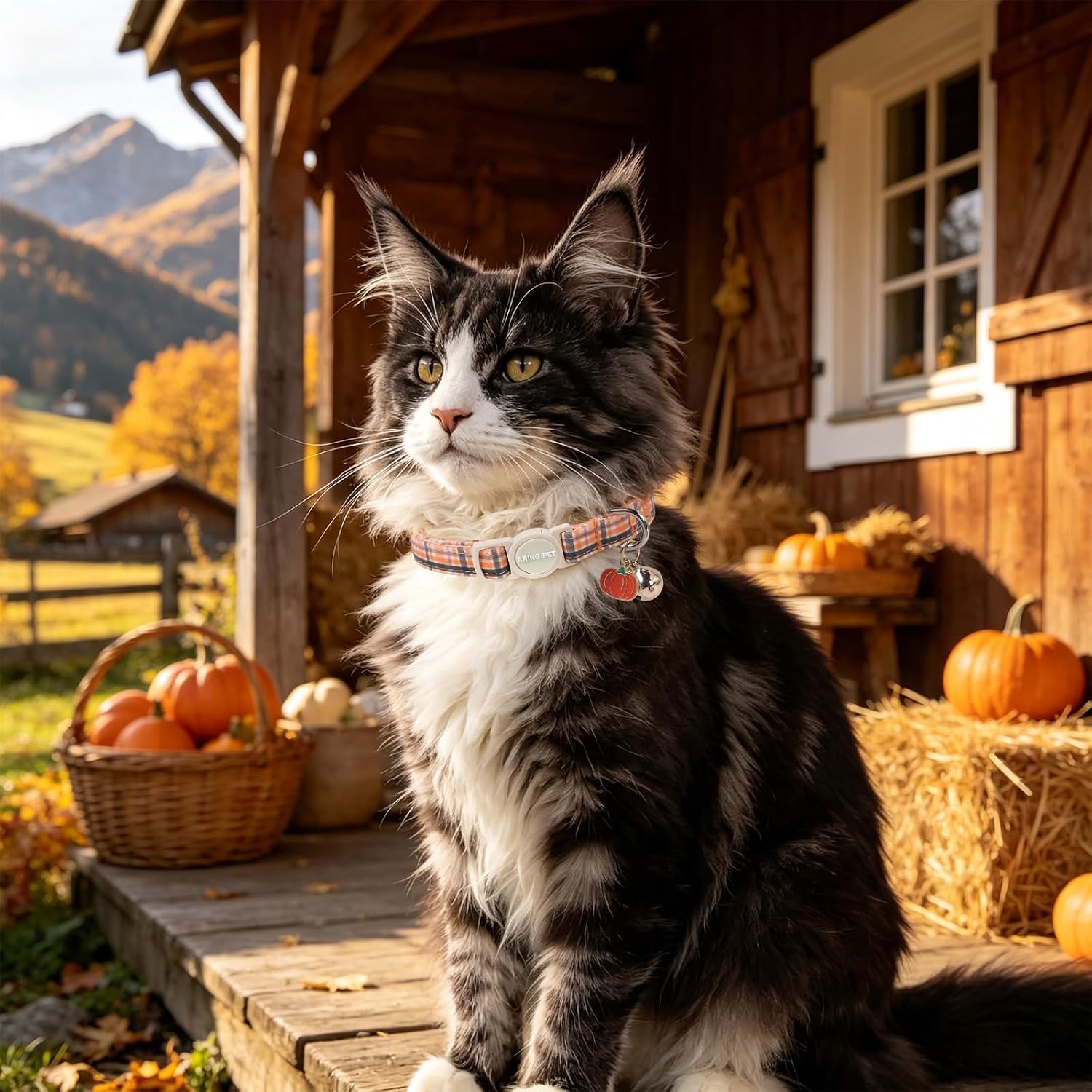 ARING PET 2 Pack Fall Cat Collars with Bell-Pink Pumpkin & Orange Plaid image 3