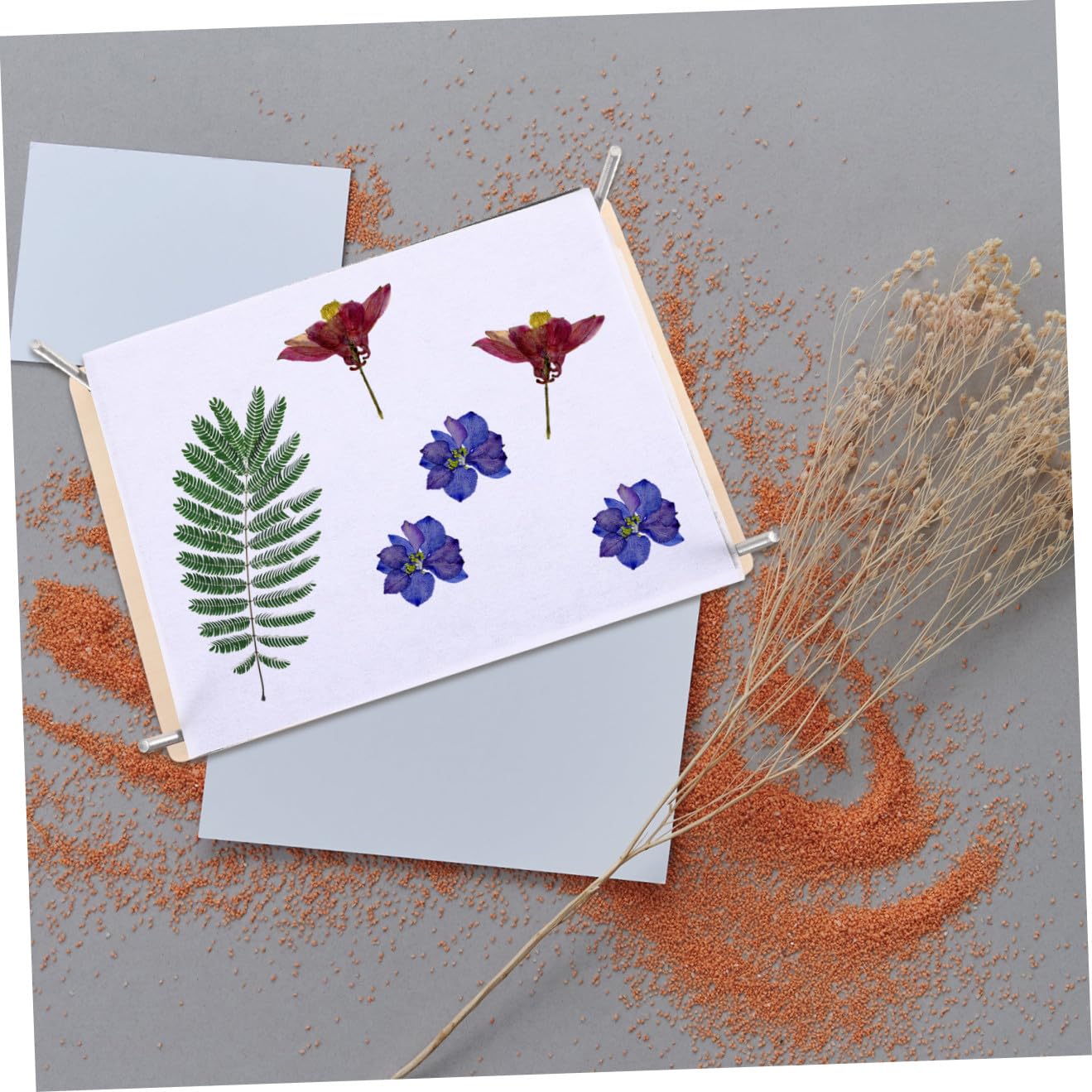 LABRIMP Blumenpressset mit Zubehör für Pflanzen Blumenpresse-set für DIY Presswerkzeug für Blumen Blättern und Früchte Inklusive Trocknungsgerät für Gepresste Trockenblumen