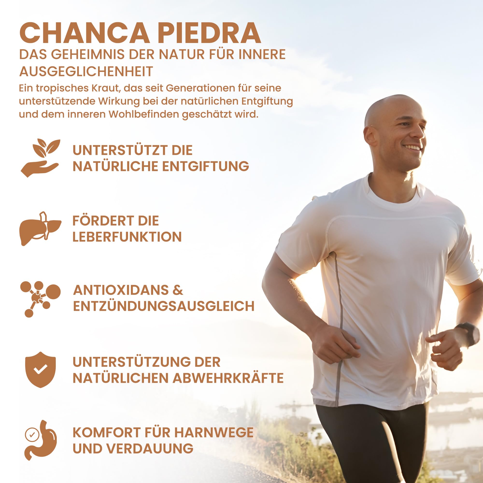 Chanca Piedra – Phyllanthus niruri | 5.000 mg Äquivalent | Hochdosiert 500 mg 10:1 Extrakt | 120 vegane Kapseln | GMP & Laborgeprüft