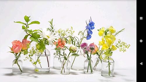 1033 Flowers Wallpapers