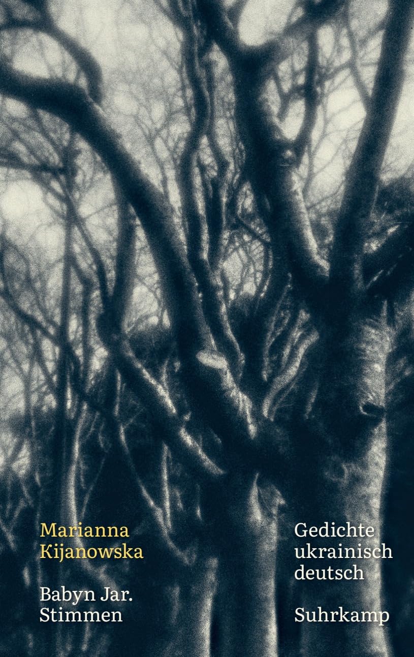 Babyn Jar. Stimmen: Gedichte. Ukrainisch und deutsch | Eines der wichtigsten Bücher der ukrainischen Gegenwartsliteratur