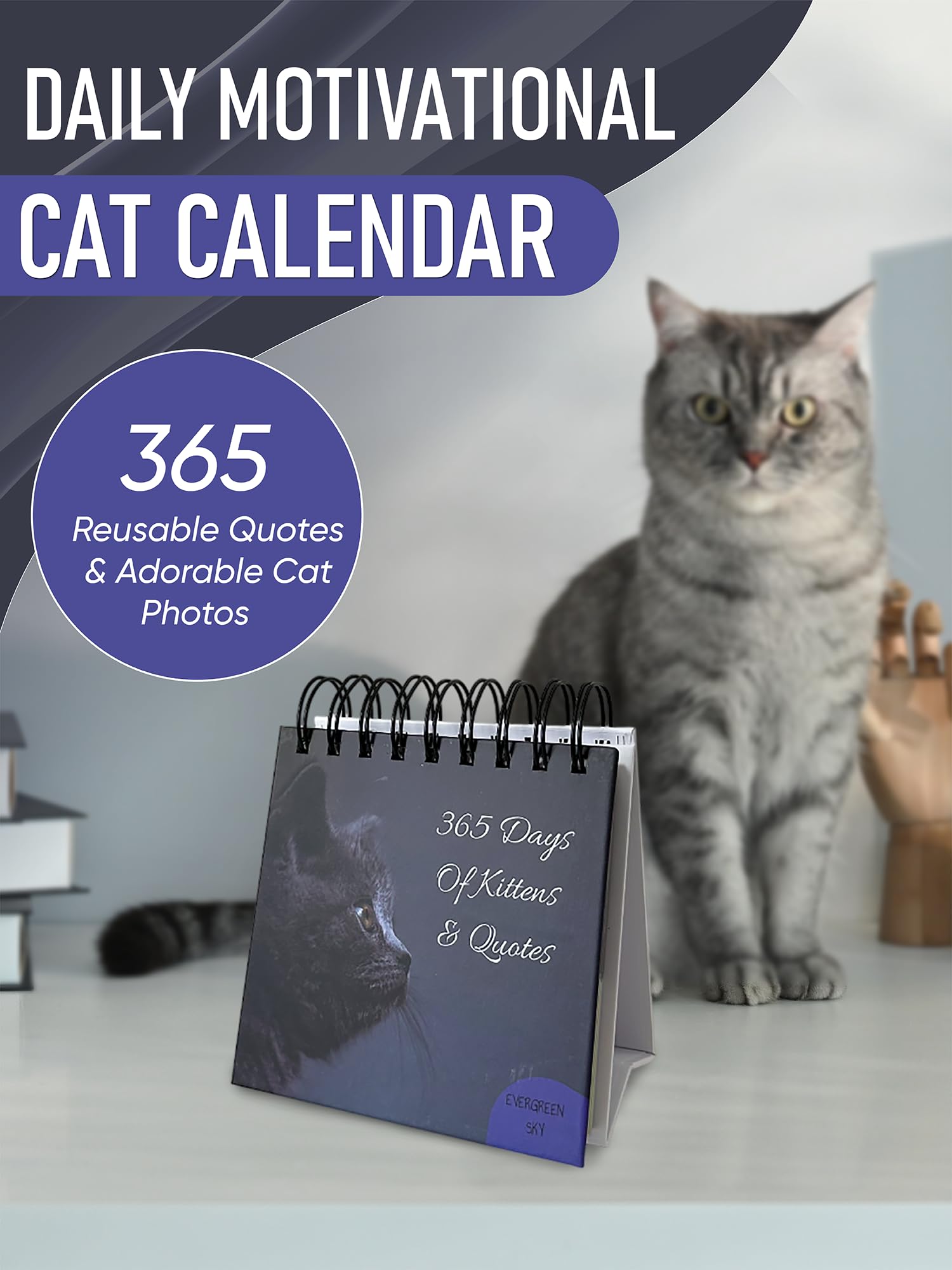 Calendario motivazionale giornaliero con gatti - 365 citazioni riutilizzabili e adorabili foto di gatti per positività tutto l'anno - Calendario da scrivania per amanti dei gatti, appassionati di