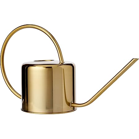 Edelstahl Gießkanne 500ml | Mini Für Zimmerpflanzen & Sukkulenten